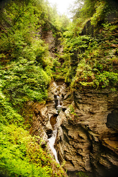 Watkins Glen state park, New York State, United States