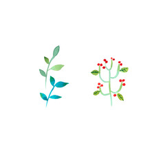 Plants with leaves and berries