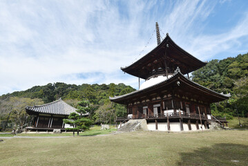 根来寺　大塔と大師堂　和歌山県岩出市