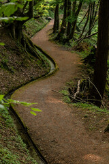 Obraz premium Nature travel Germany premium hiking trails