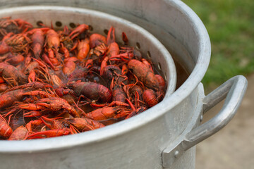 Spicy Boiled Crawfish in a Pot