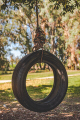 Tire Swing In Park