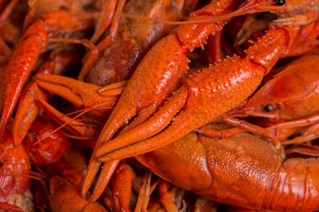 Spicy Boiled Crawfish