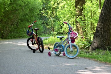 Bicycles in the wood