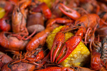 Spicy Boiled Crawfish with corn