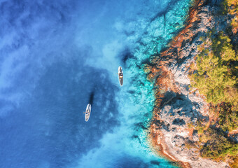 Aerial view of people on floating kayaks on blue sea, rocky coast, trees at sunset in summer. Blue...