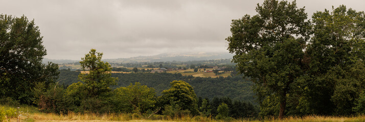 Wide forest landscape in Aveyron in summer