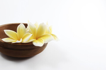 Frangipani or plumeria flowers in a wooden bowl isolated on a white background. side view