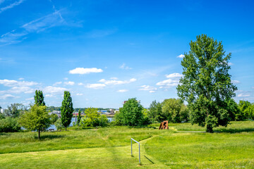 Wiese am Mainufer, Ruesselsheim, Hessen, Deutschland 