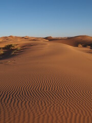 Fototapeta na wymiar Dunes dans le désert du Sahara, Maroc