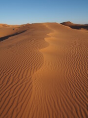 Fototapeta na wymiar La crète d'une dune dans le désert du Sahara