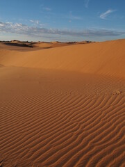 Fototapeta na wymiar les stries du sable sous l'effet du vent au Sahara 