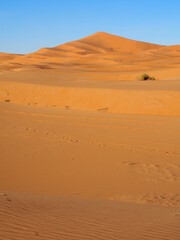 Fototapeta na wymiar vue de dunes de sable au Sahara, Maroc