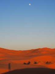Fototapeta na wymiar Vue des dunes dans le désert du Sahara au couché de soleil