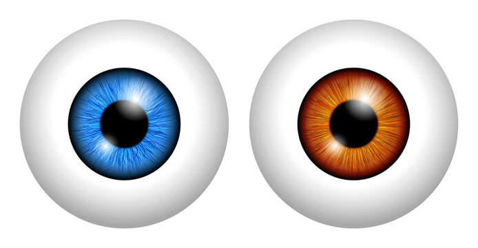 set of realistic human eyeball isolated or close up human eyeball retina with pupil and iris. eps vector

