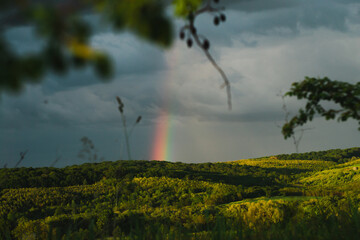 Rainbow after a thunderstorm in the mountains on a summer evening at sunset