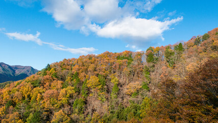 紅葉もみじのグラデーションがきれいな山の風景
背景素材イメージ　もみじ狩り