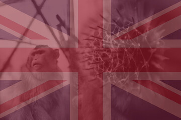 Monkeypox virus. Great Britain flag background. Epidemic concept. Virus transmitted to humans from animals. Monkeys infect people. Quarantine. pandemic. Pox. Kill. Warning. Europe. Epidemic. England