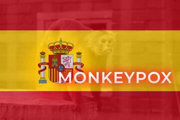 Monkeypox virus. Spain flag background. Epidemic concept. Virus transmitted to humans from animals. Monkeys infect people. Medical. New pandemic. Pox. Kill. Warning. Europe. Molecular Epidemic. 2022
