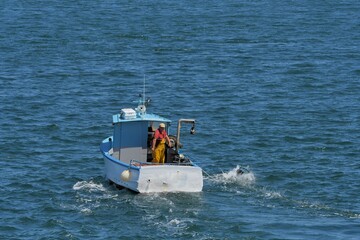 Fisherman on his boat fishing crustaceans in Brittany France