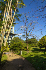Obraz premium path in the park
