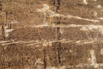 wooden wall made of old boards with  natural structure.