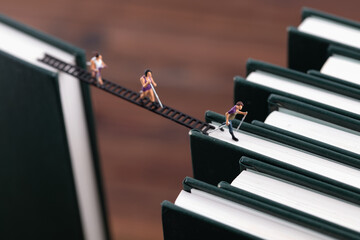 Miniature world links knowledge through ladders