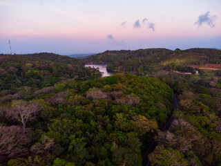 Lago y bosque 