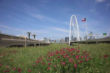Ronald Kirk Bridge in Dallas, Texas
