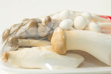 Organic shiitake or shiitake mushrooms grown in a farmer's mushroom farm grown for sale and exported abroad is a healthy vegetarian food that farmers package to sell in the vegetable market