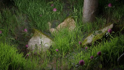 3d render freshness green grass with pine tree lighting nature scene wallpaper backgrounds