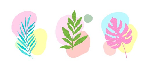 Set of abstractions with tropical leaves. Neon bright colors. Monstera, palm