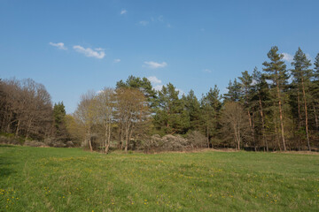 Landschaft im Ilm-Kreis