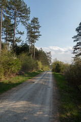 Landschaft im Ilm-Kreis