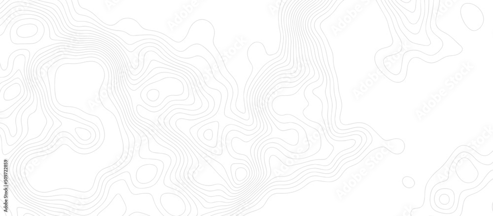 Poster background of the topographic map. geographic abstract grid. topographical background. linear graphi