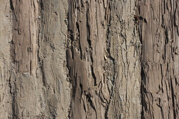 Raw File High Resolution Wood textures for background