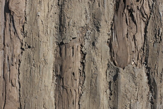 Raw File High Resolution Wood textures for background