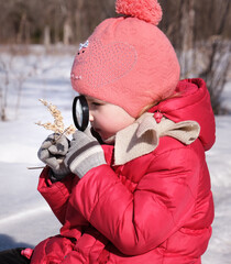 Little girl  with a magnifying glass in her hand investigate details of nature . Winter outdoor...
