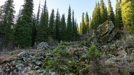 Rocky plateau in a mountain gorge