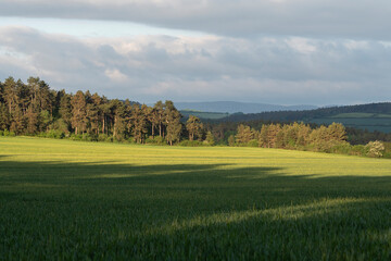 Landschaft im Ilm-Kreis