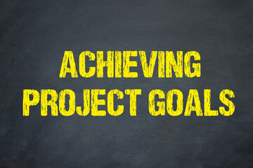 Achieving Project Goals