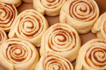 Blanks of cinnamon rolls dough are on greased parchment paper.