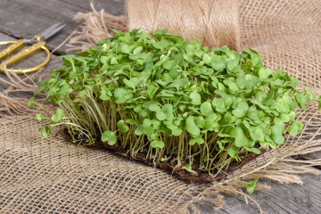 Close-up of Arugula on natural burlap. Delivery of healthy food.