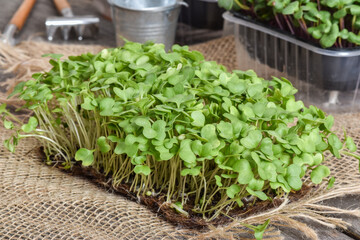 Close-up of Arugula on natural burlap. Delivery of healthy food.