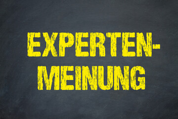 Expertenmeinung