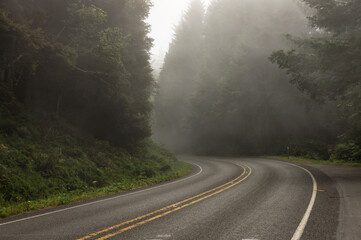 Fog covers a highway passing through Olympic National Park, Washington © squeemu