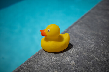 yellow squeaky duck is on the edge of a swimming pool