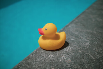 yellow squeaky duck is on the edge of a swimming pool