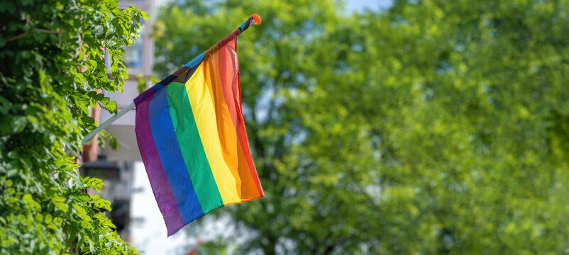 Gay Pride, LGBT rainbow flag waving on a pole, green trees background, banner, copy space, template