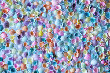 colorful shells background